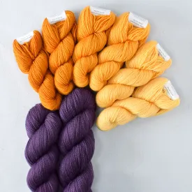 Amber and Sagrada - In the Moment Set